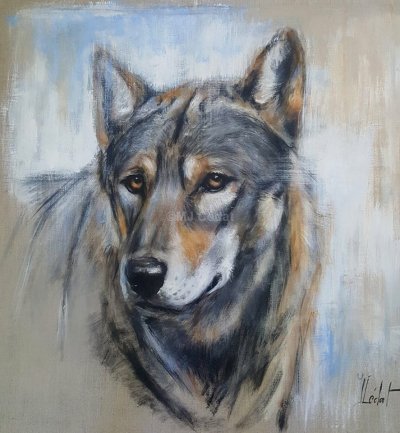 Loup de face -Marie-Joëlle Cédat-artiste animalier peinture animaliere-art-animalier- peintre-animalier
