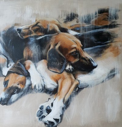Meute couchée chien-Marie-Joëlle Cédat-artiste animalier peinture animaliere-art-animalier- peintre-animalier