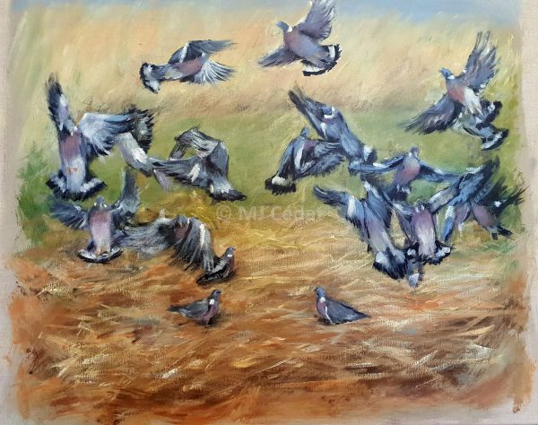 Pigeons dans les chaumes – Acrylique sur toile de lin brut-Marie-Joëlle Cédat-artiste animalier peinture animaliere-art-animalier- peintre-animalier