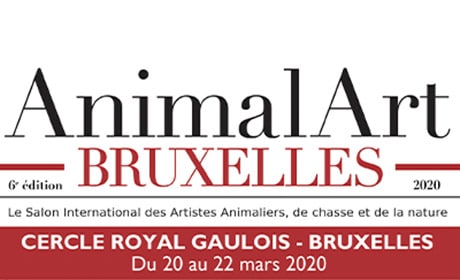 Lire la suite à propos de l’article Animal Art Bruxelles Annulé