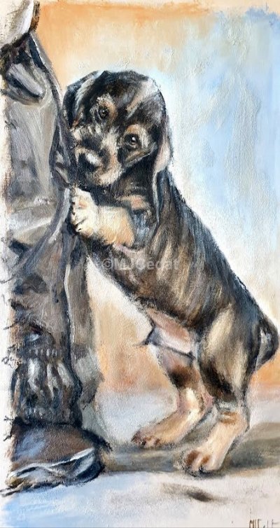 jeune teckel joueur – Acrylique sur toile de linMarie-Joëlle Cédat-artiste animalier peinture animaliere-art-animalier- peintre-animalier