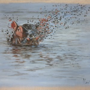 Disparition de la nature, Hippopotame