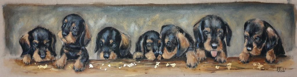 teckels chiens par Marie Joëlle cédat artiste animalier peintre